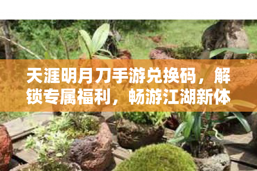天涯明月刀手游兑换码图片