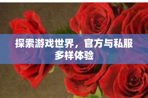 官方与私服多样体验图片