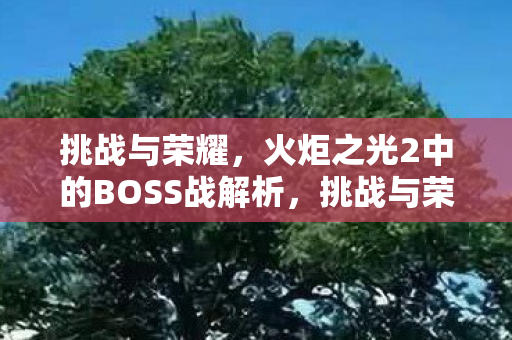 火炬之光2中的BOSS战解析图片