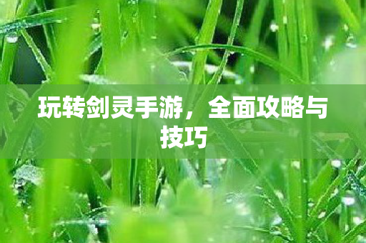 全面攻略与技巧图片