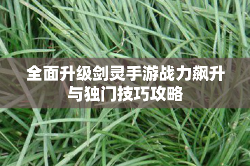 全面升级剑灵手游战力飙升与独门技巧攻略图片