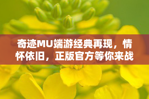 奇迹MU端游经典再现图片