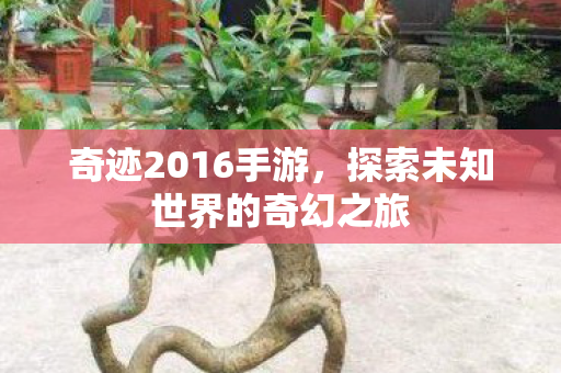 探索未知世界的奇幻之旅图片