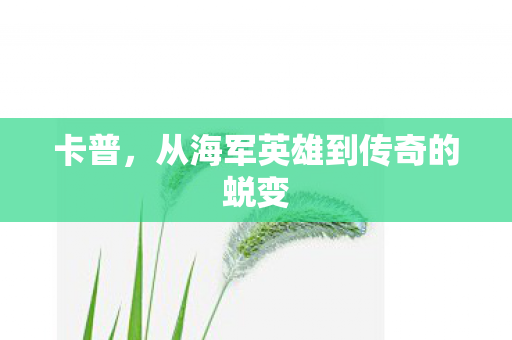 卡普,从海军英雄到传奇的蜕变 卡普,从海军英雄到传奇的蜕变