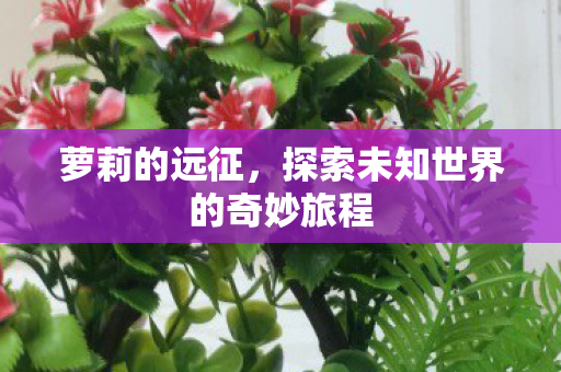 探索未知世界的奇妙旅程图片