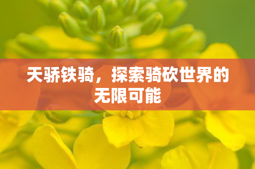 探索骑砍世界的无限可能图片