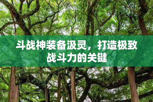 打造极致战斗力的关键图片