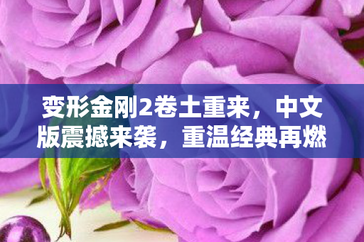 变形金刚2中文版震撼来袭图片