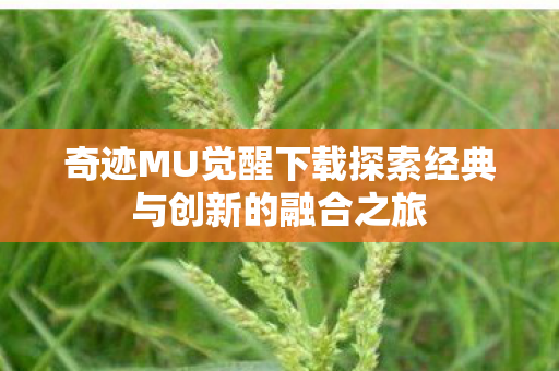 奇迹MU觉醒下载探索经典与创新的融合之旅图片