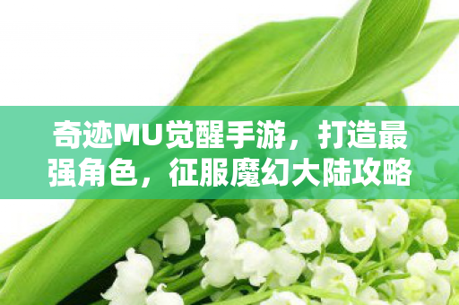 奇迹MU觉醒手游图片