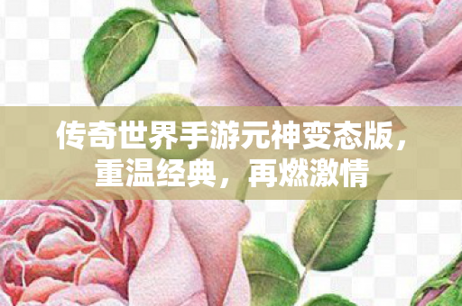 传奇世界手游元神变态版图片