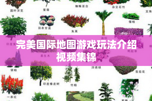 完美国际地图游戏玩法介绍视频集锦图片