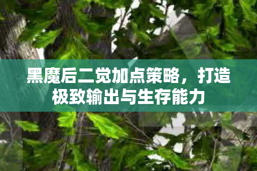 打造极致输出与生存能力图片