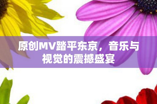 音乐与视觉的震撼盛宴图片