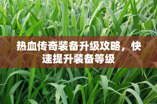 热血传奇装备升级攻略图片