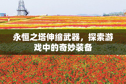 探索游戏中的奇妙装备图片
