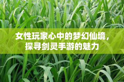 女性玩家心中的梦幻仙境图片