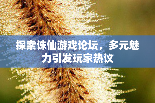 多元魅力引发玩家热议图片