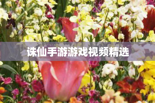 诛仙手游游戏视频精选图片