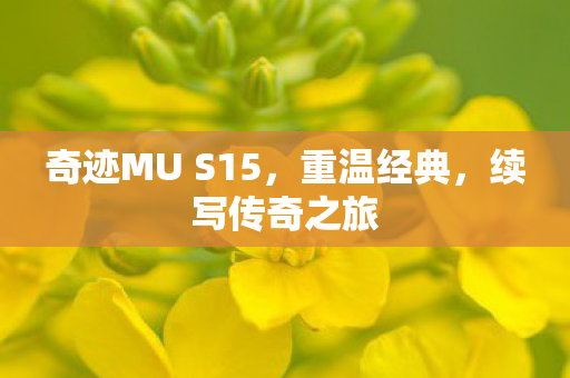 奇迹MU S15图片