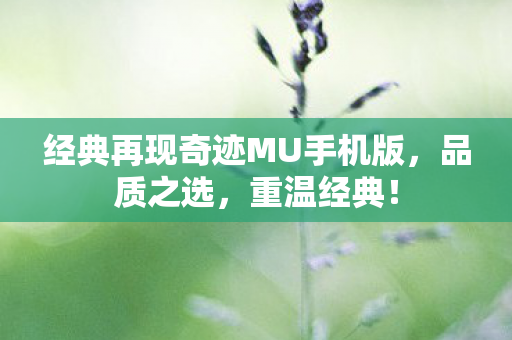 经典再现奇迹MU手机版,品质之选,重温经典! 经典再现奇迹MU手机版,品质之选,重温经典!