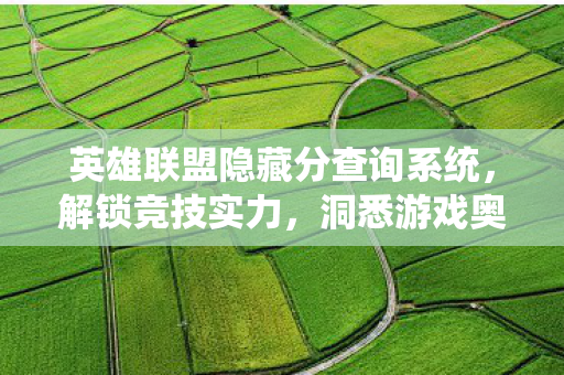 英雄联盟隐藏分查询系统，解锁竞技实力，洞悉游戏奥秘，英雄联盟隐藏分查询，解锁竞技实力，洞悉游戏奥秘