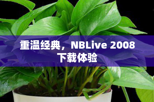 NBLive 2008下载体验图片