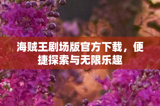 海贼王剧场版官方下载图片