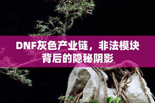 非法模块背后的隐秘阴影图片