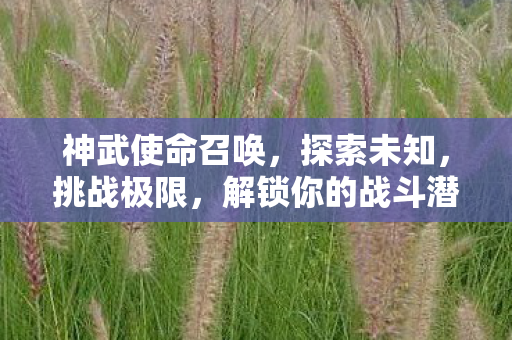 解锁你的战斗潜能图片
