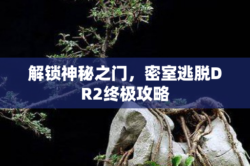 密室逃脱DR2终极攻略图片