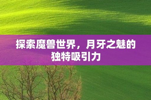 月牙之魅的独特吸引力图片