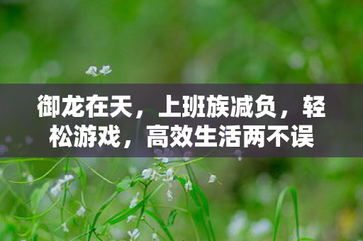 高效生活两不误图片
