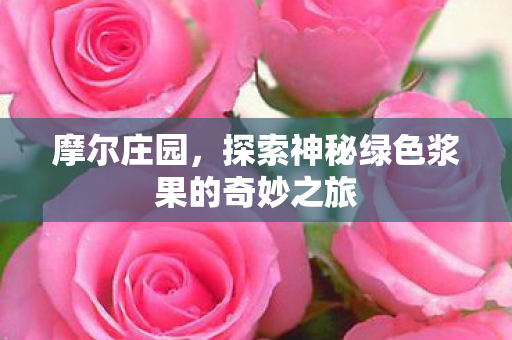 探索神秘绿色浆果的奇妙之旅图片