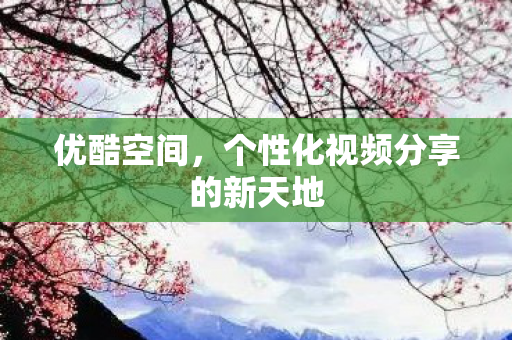 个性化视频分享的新天地图片