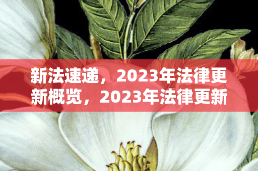 新法速递,2023年法律更新概览,2023年法律更新概览,新法速递 新法速递,2023年法律更新概览,2023年法律更新概览,新法速递