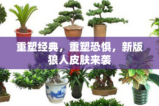 新版狼人皮肤来袭图片
