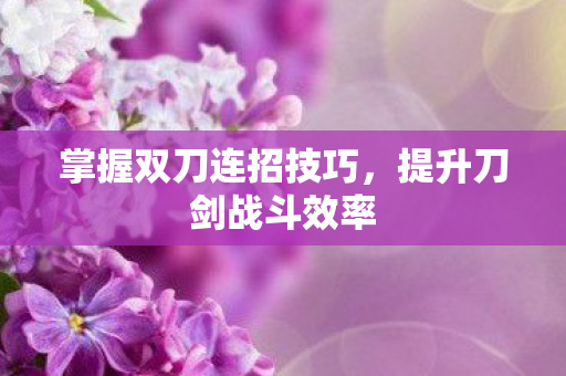 掌握双刀连招技巧图片