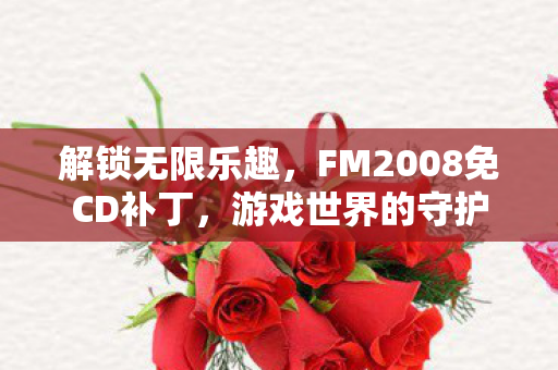 FM2008免CD补丁图片