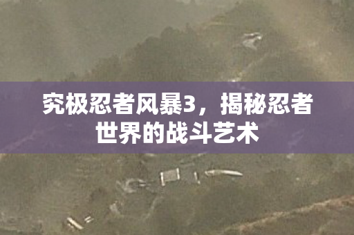 揭秘忍者世界的战斗艺术图片