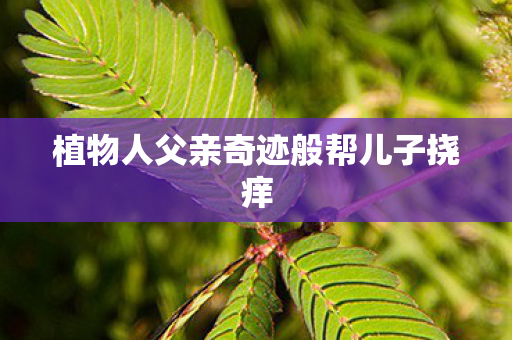 植物人父亲奇迹般帮儿子挠痒图片