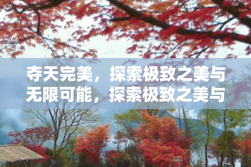 夺天完美,探索极致之美与无限可能,探索极致之美与无限可能,夺天完美 夺天完美,探索极致之美与无限可能,探索极致之美与无限可能,夺天完美