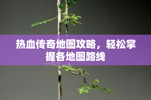 轻松掌握各地图路线图片