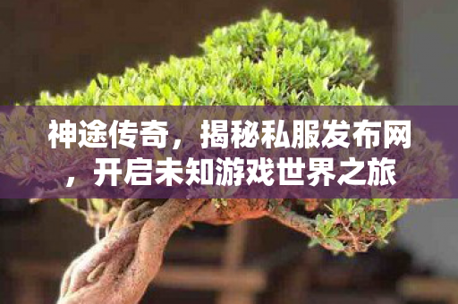 开启未知游戏世界之旅图片