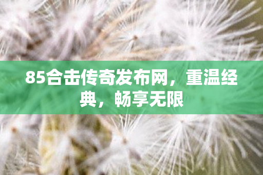 85合击传奇发布网图片