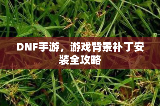 游戏背景补丁安装全攻略图片