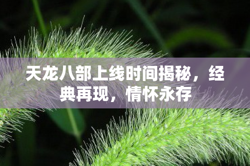 天龙八部上线时间揭秘图片
