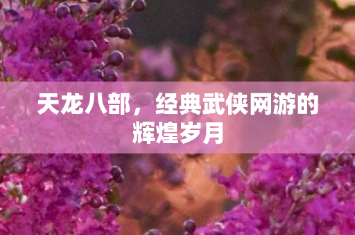 经典武侠网游的辉煌岁月图片