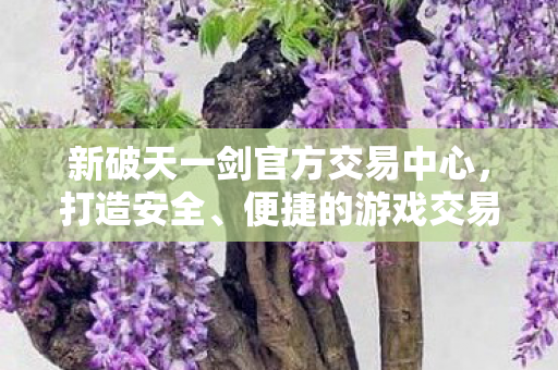 新破天一剑官方交易中心图片