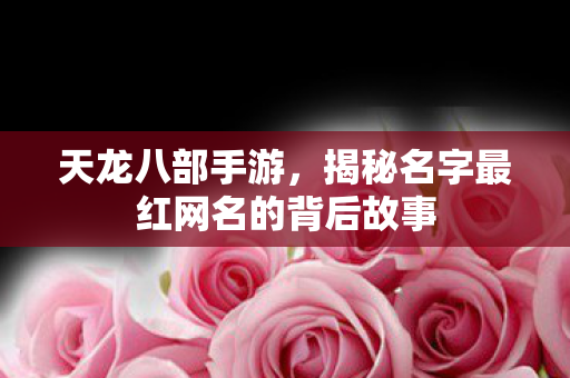 揭秘名字最红网名的背后故事图片
